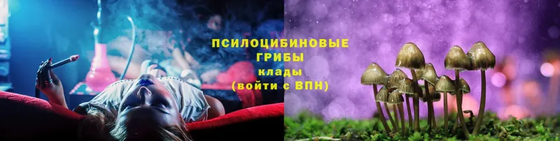 Галлюциногенные грибы Psilocybine cubensis  Миньяр 